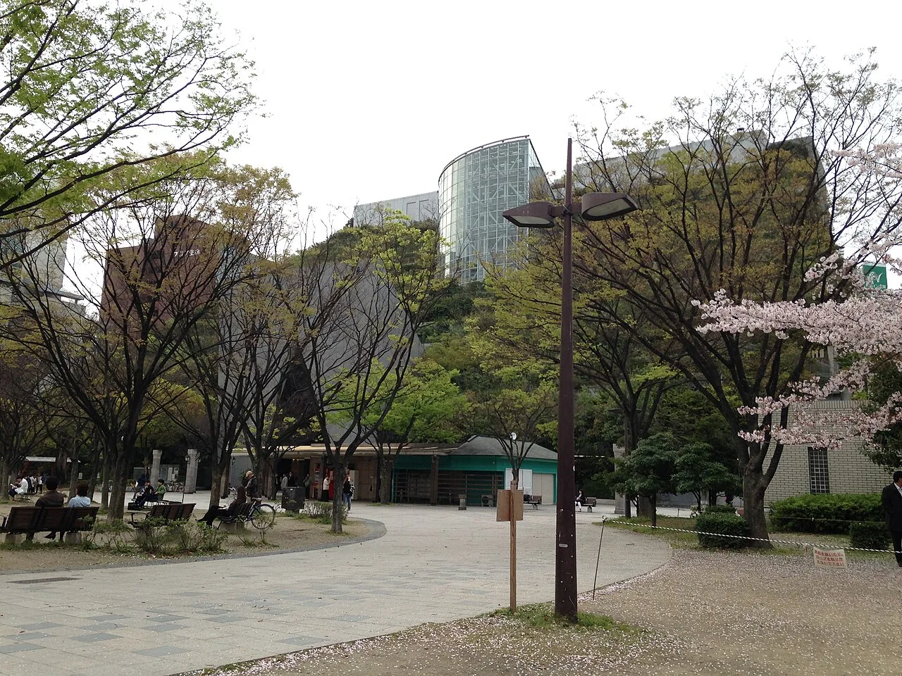 天神中央公園から見た、樹木が段状に十四階へ続くアクロス福岡のステップガーデン