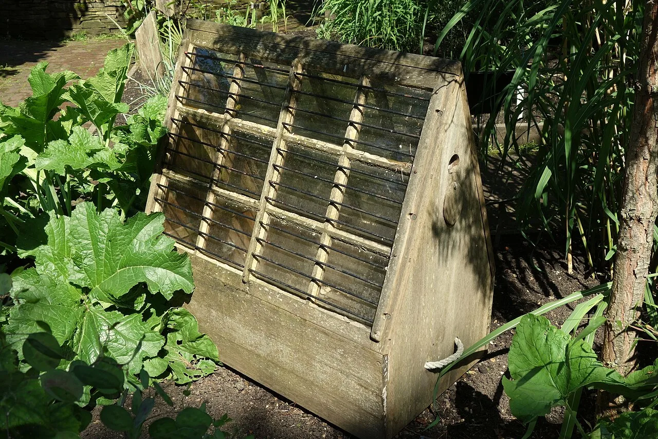 A timber-framed glass Wardian case displayed at Chelsea Physic Garden