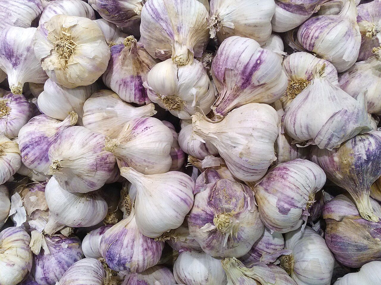 White garlic bulbs with papery skins and visible divisions between cloves