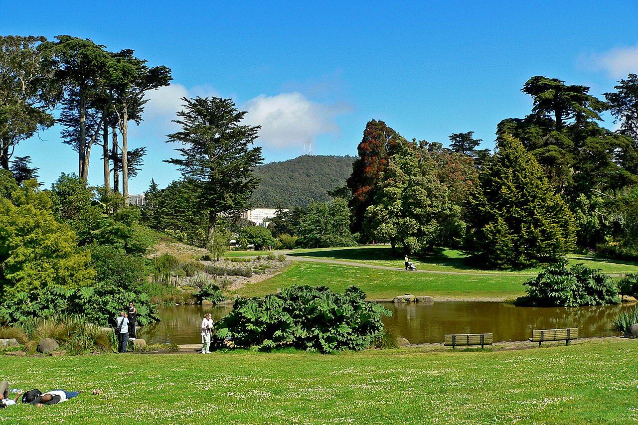 The Great Lawn at San Francisco Botanical Garden, photographed in 2005 and not during Flower Piano